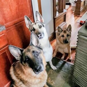 Meet your Posher, Samantha